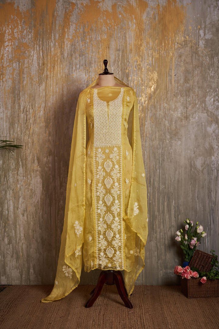 Unstitched Organza Kurti