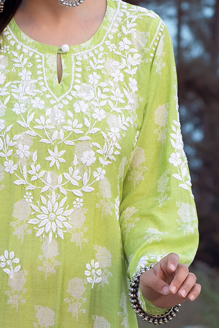 Ajiya Chikankari Muzlin Printed Long Dress